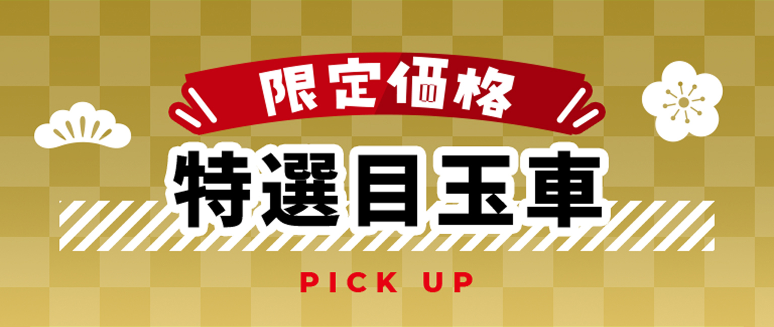 限定価格 特選目玉車